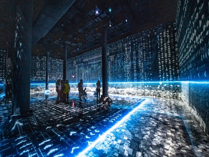 Admission to ARTECHOUSE NYC - Image 4