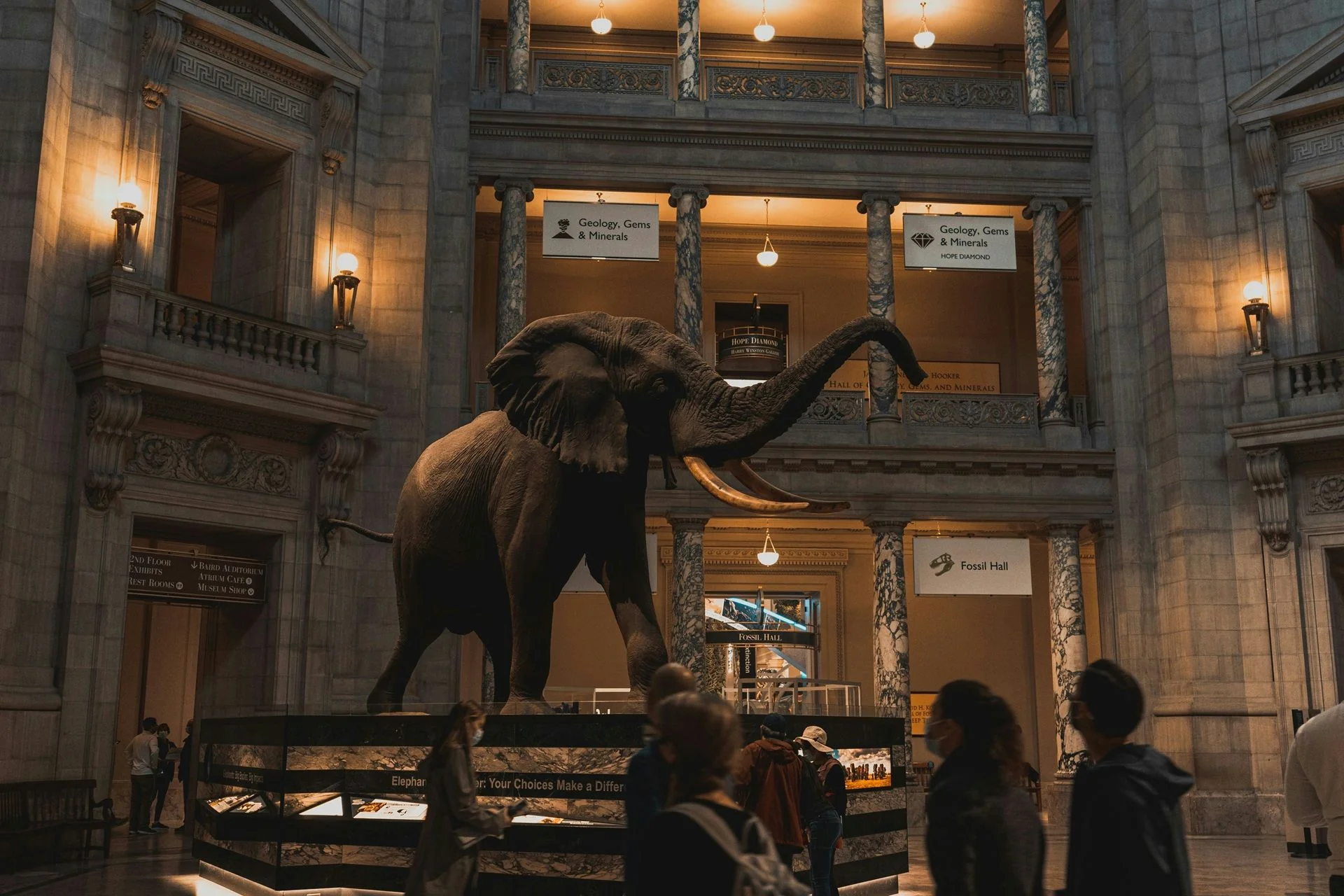 Washington DC Essential Smithsonian Tour - Image 2