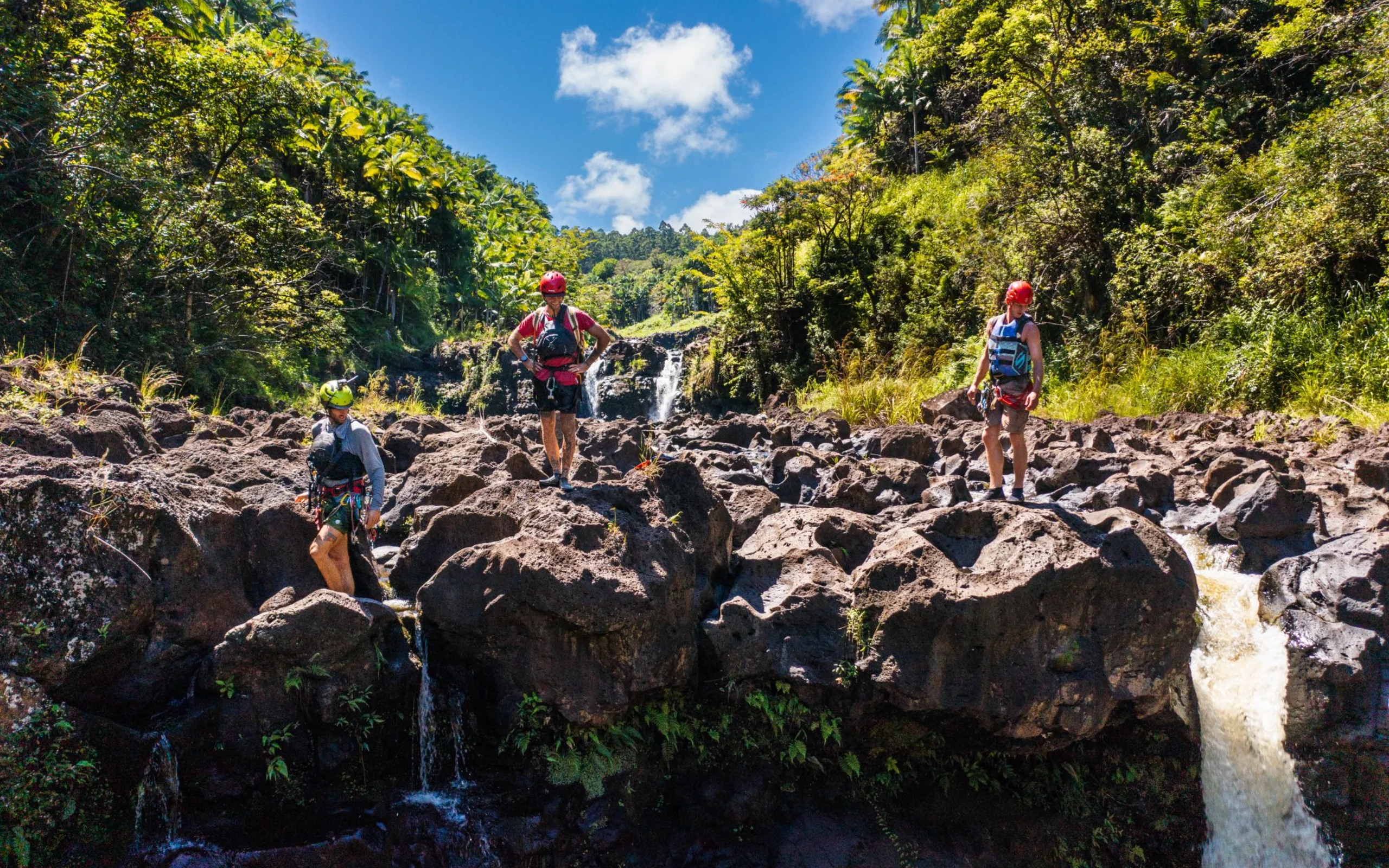 Waterfall Rappel & River Tour