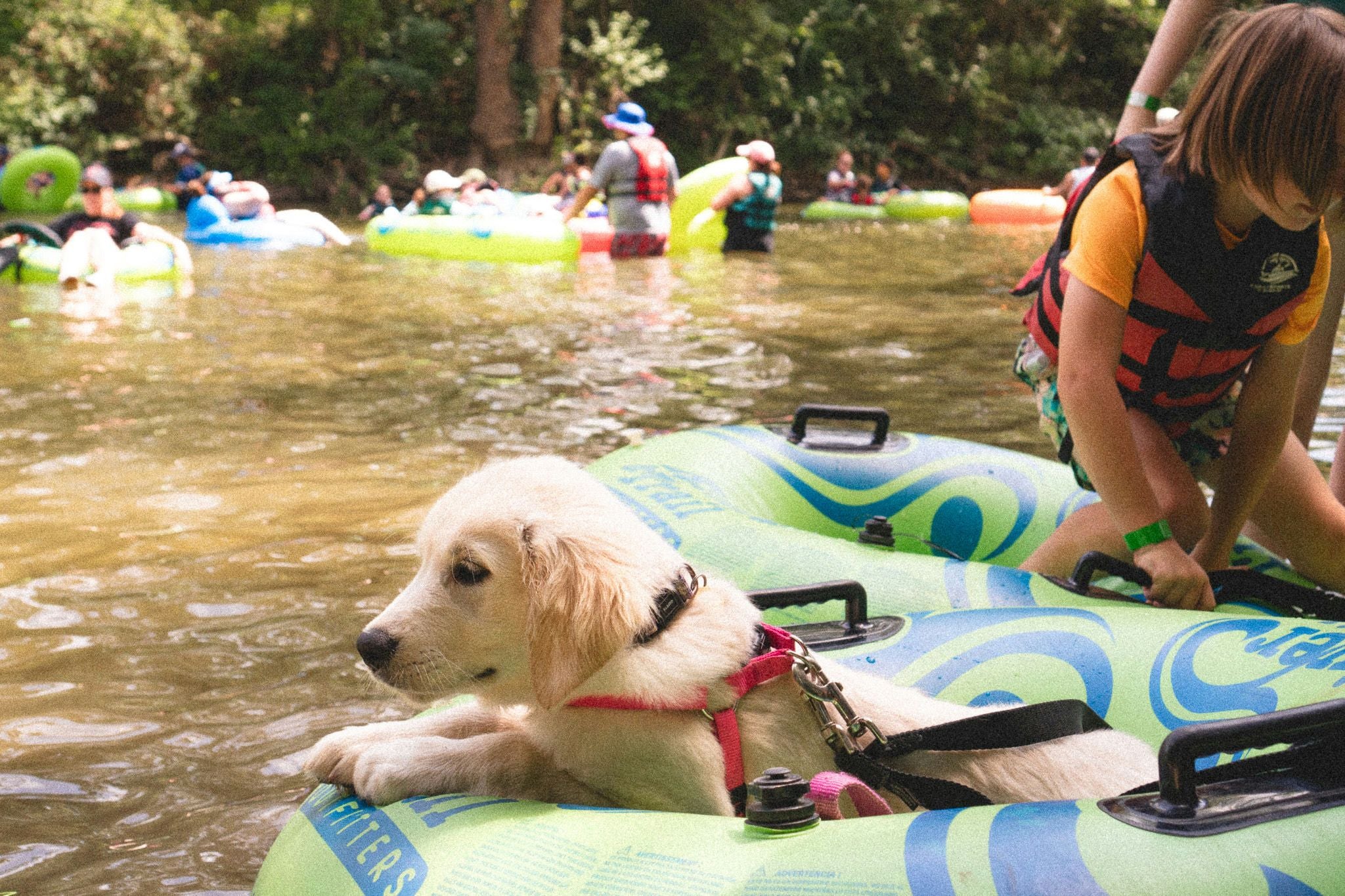 Weekday Shenandoah Leisurely River Tubing - Image 4