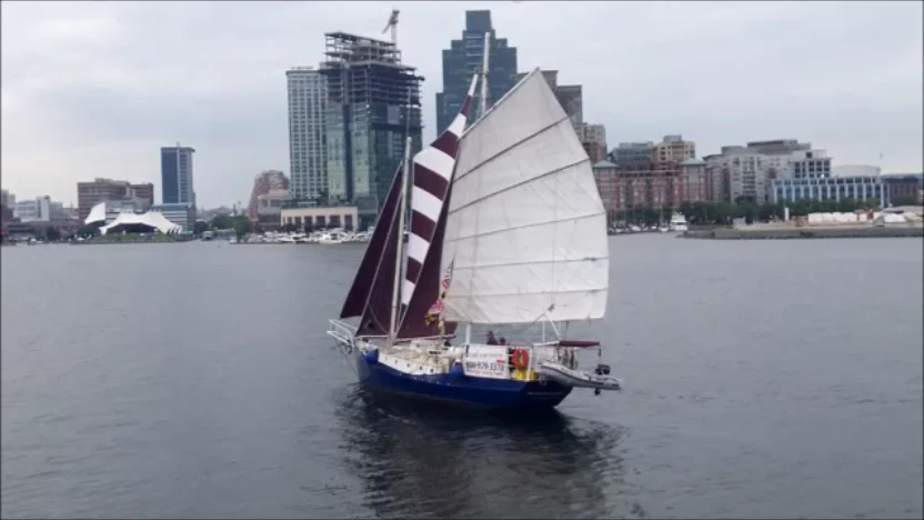 Weekend Sunset Sail on Summer Wind - Image 3