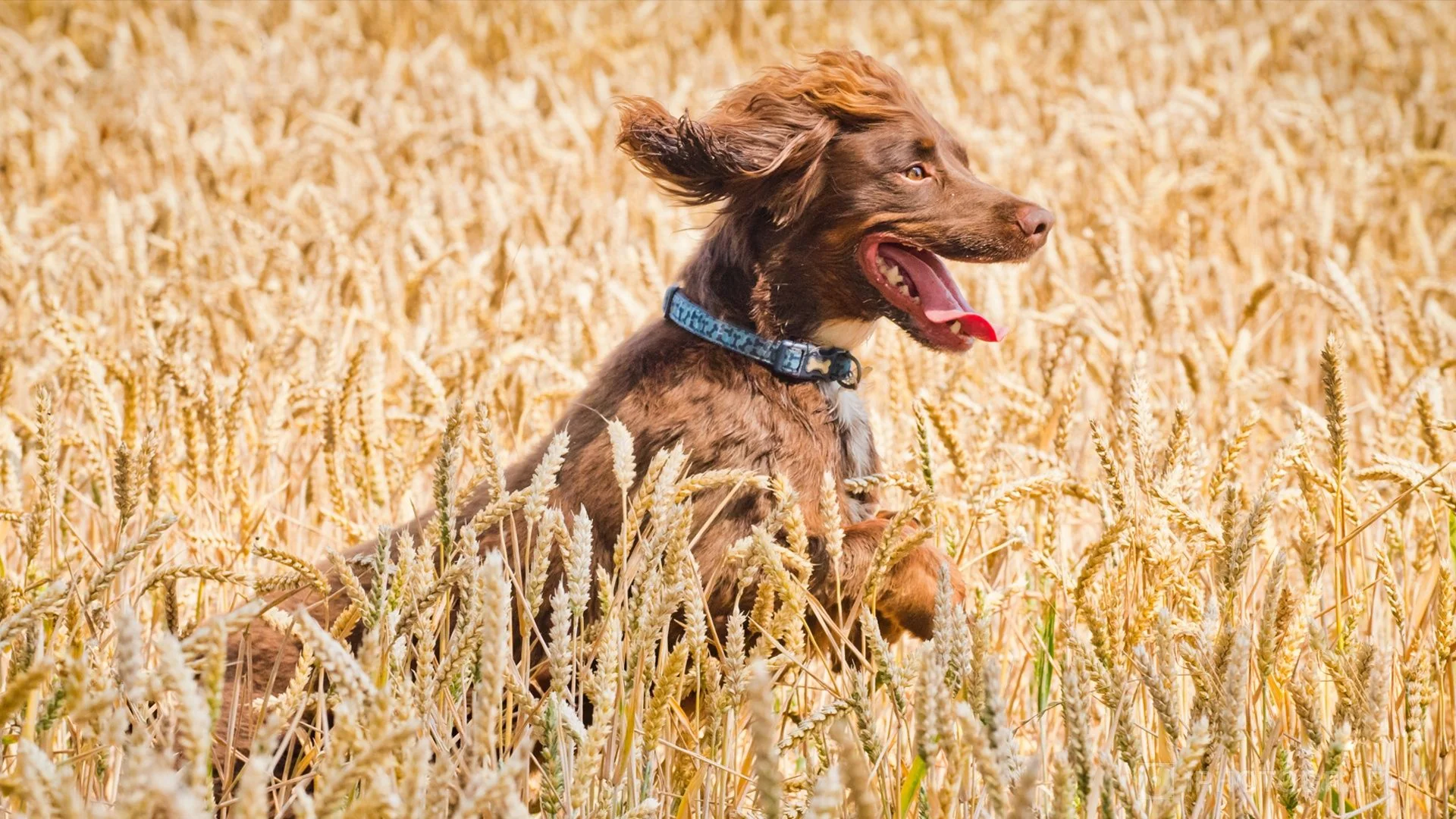 Wildlife Photography Online Course - Image 2