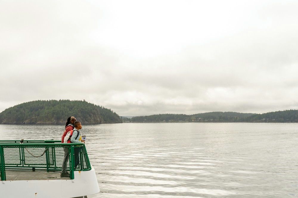 Winter Bird Watching Tour of Deception Pass & Whidbey Island