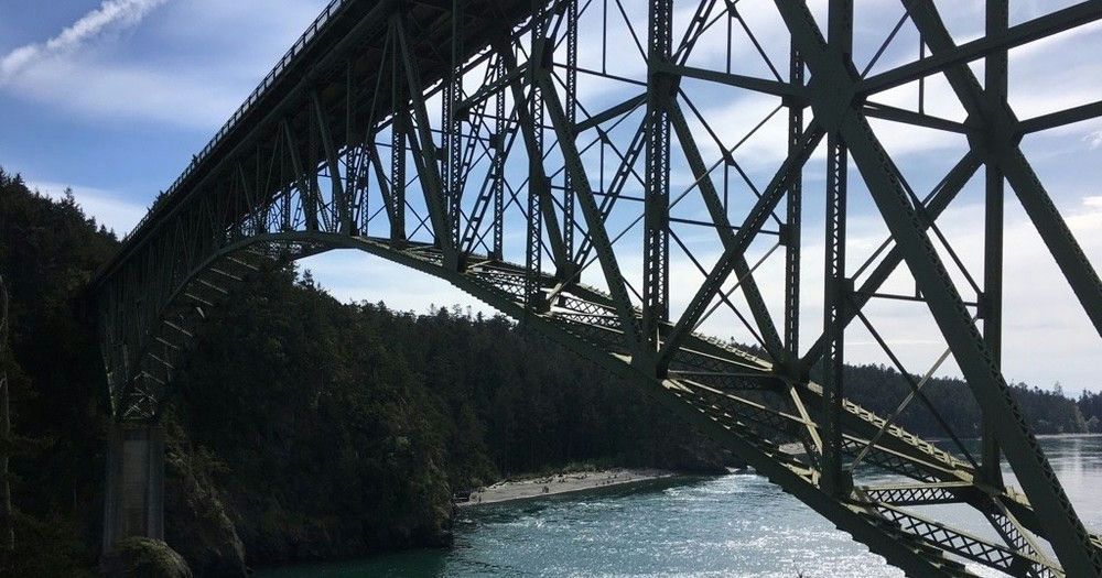 Winter Bird Watching Tour of Deception Pass & Whidbey Island - Image 8