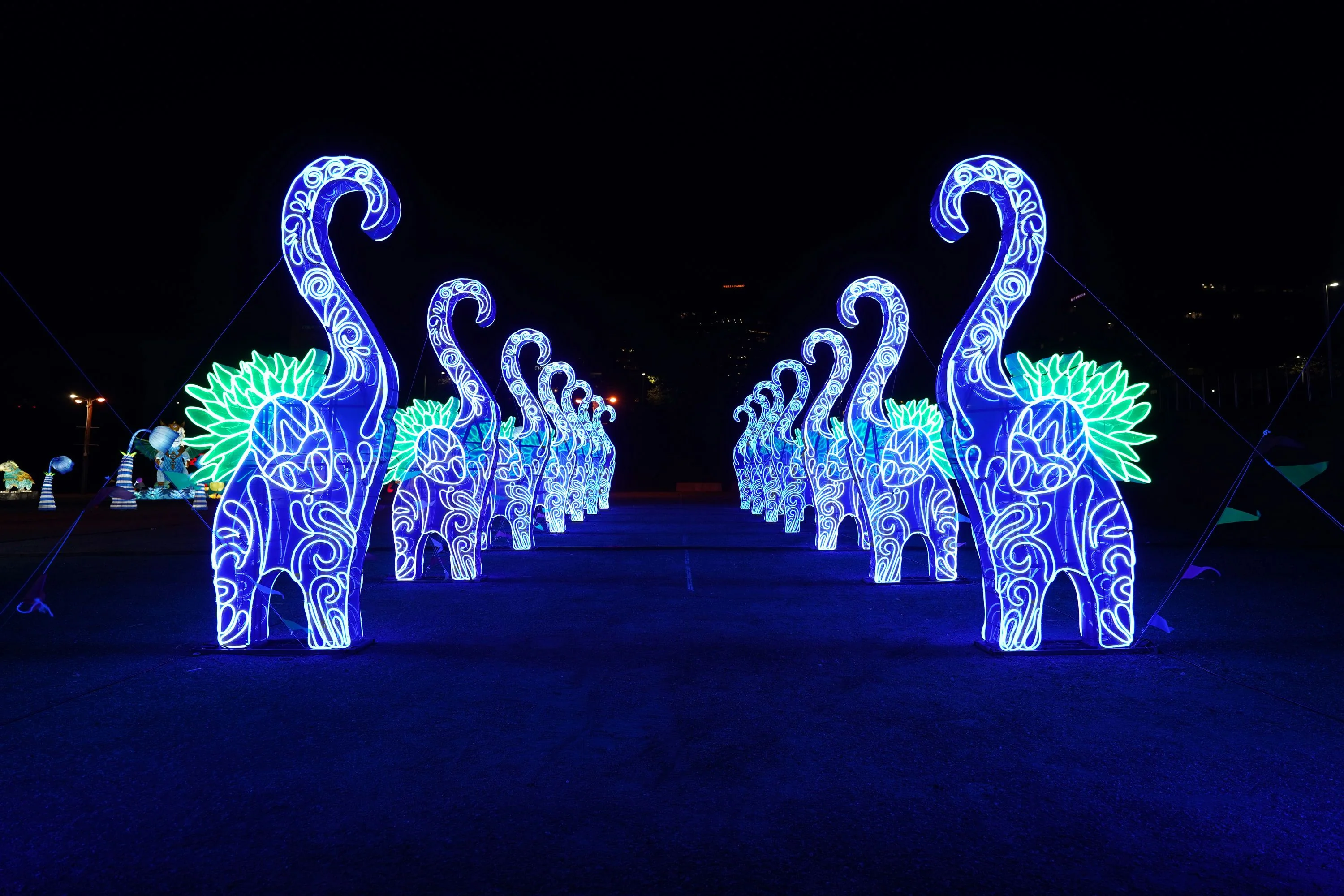 Winter Lantern Festival in Tysons - Image 3