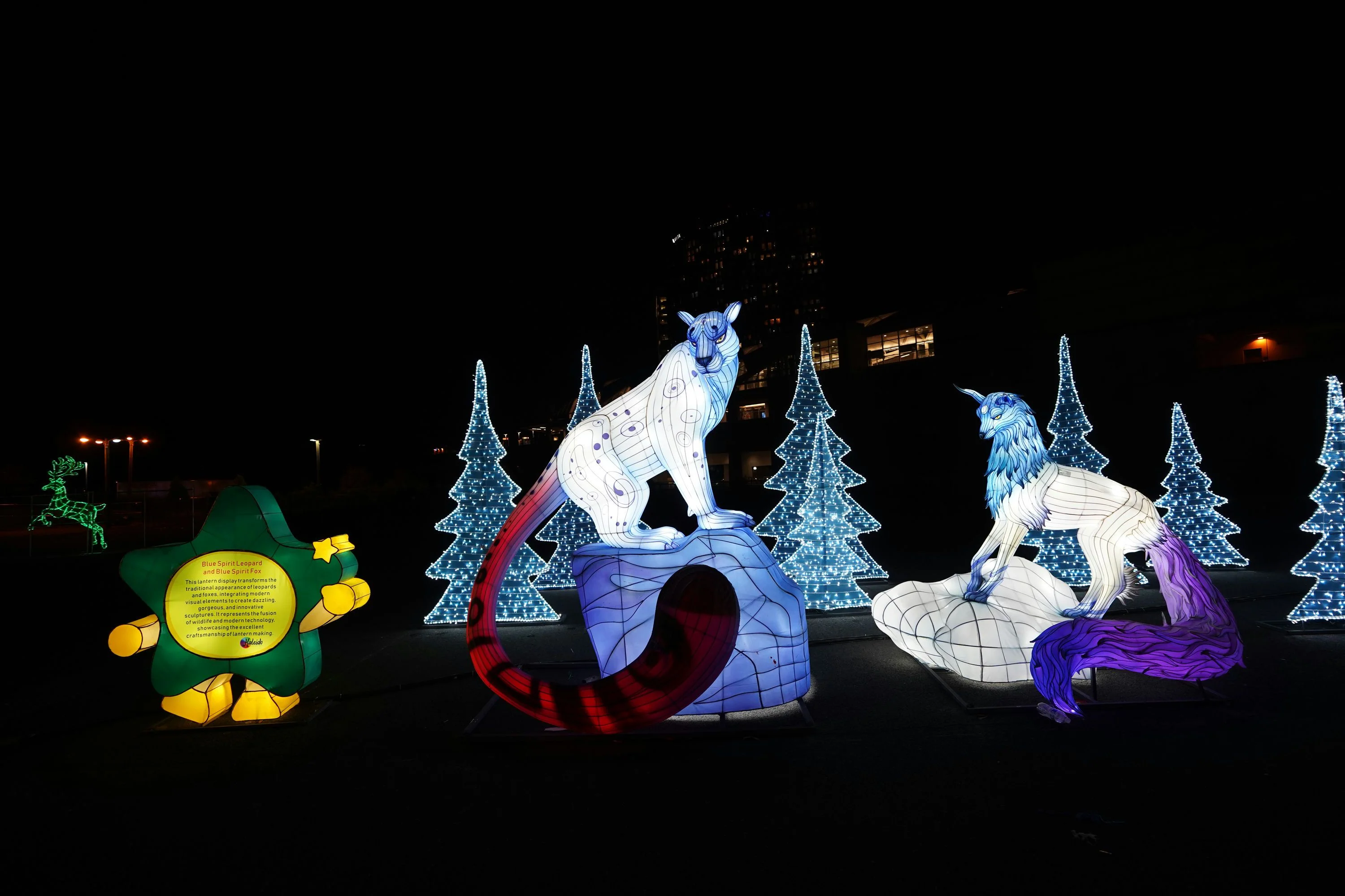 Winter Lantern Festival in Tysons - Image 5