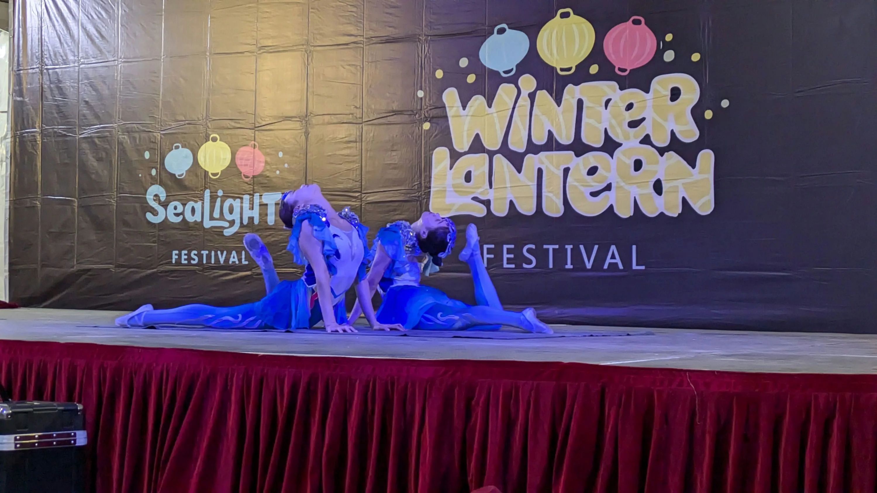 Winter Lantern Festival in Tysons - Image 7