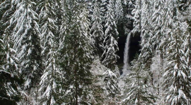 Winter Tour of Leavenworth & the Cascade Mountains from Seattle - Image 4
