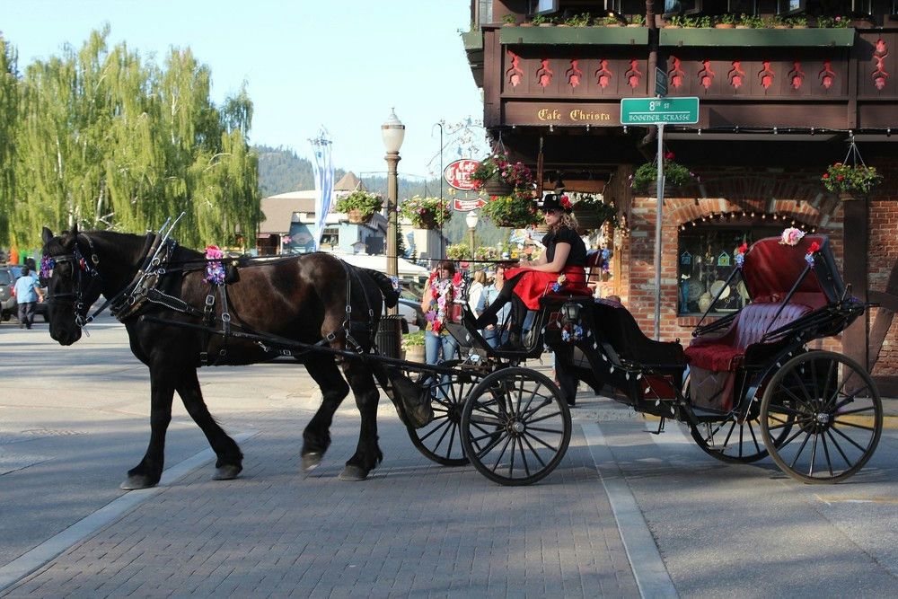 Winter Tour of Leavenworth & the Cascade Mountains from Seattle - Image 6