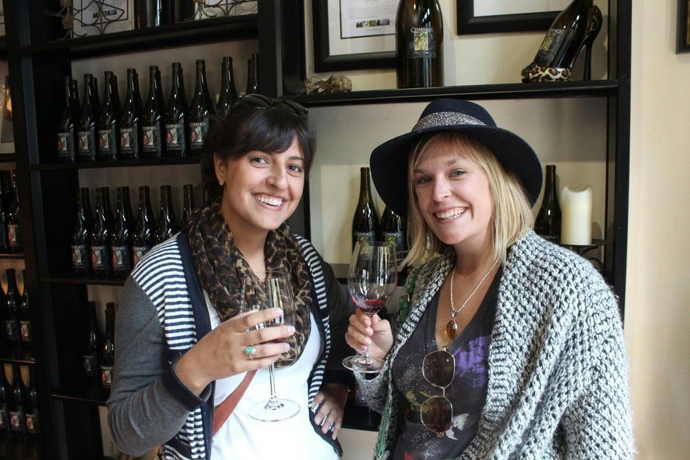 Winter Tour of Snoqualmie Falls & Washington Wine Tasting - Image 3