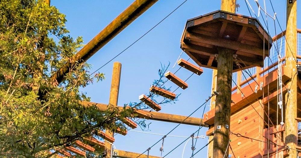Zipline & Adventure Tower Package - Image 2