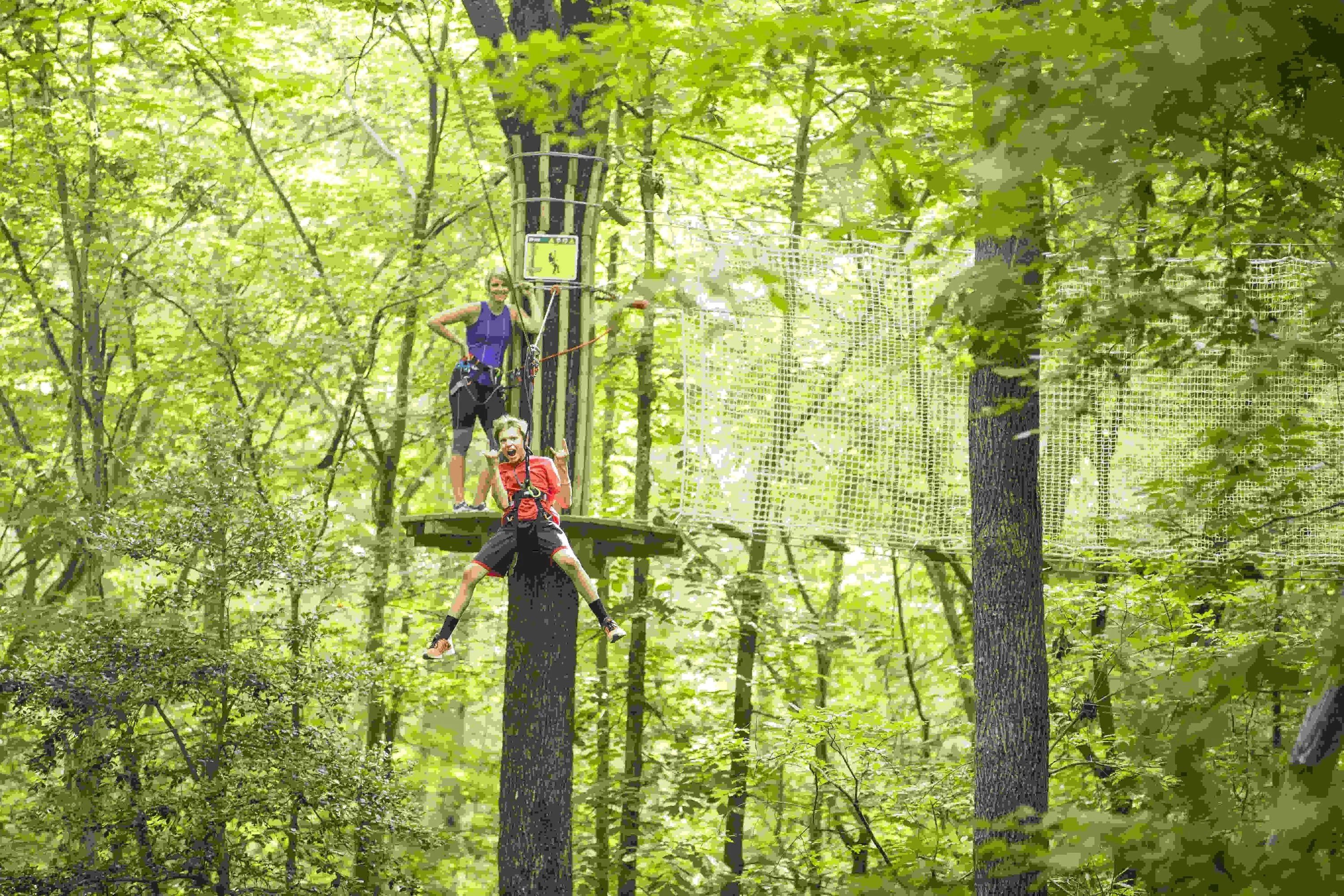 Springfield Zipline & Treetop Adventure with Go Ape