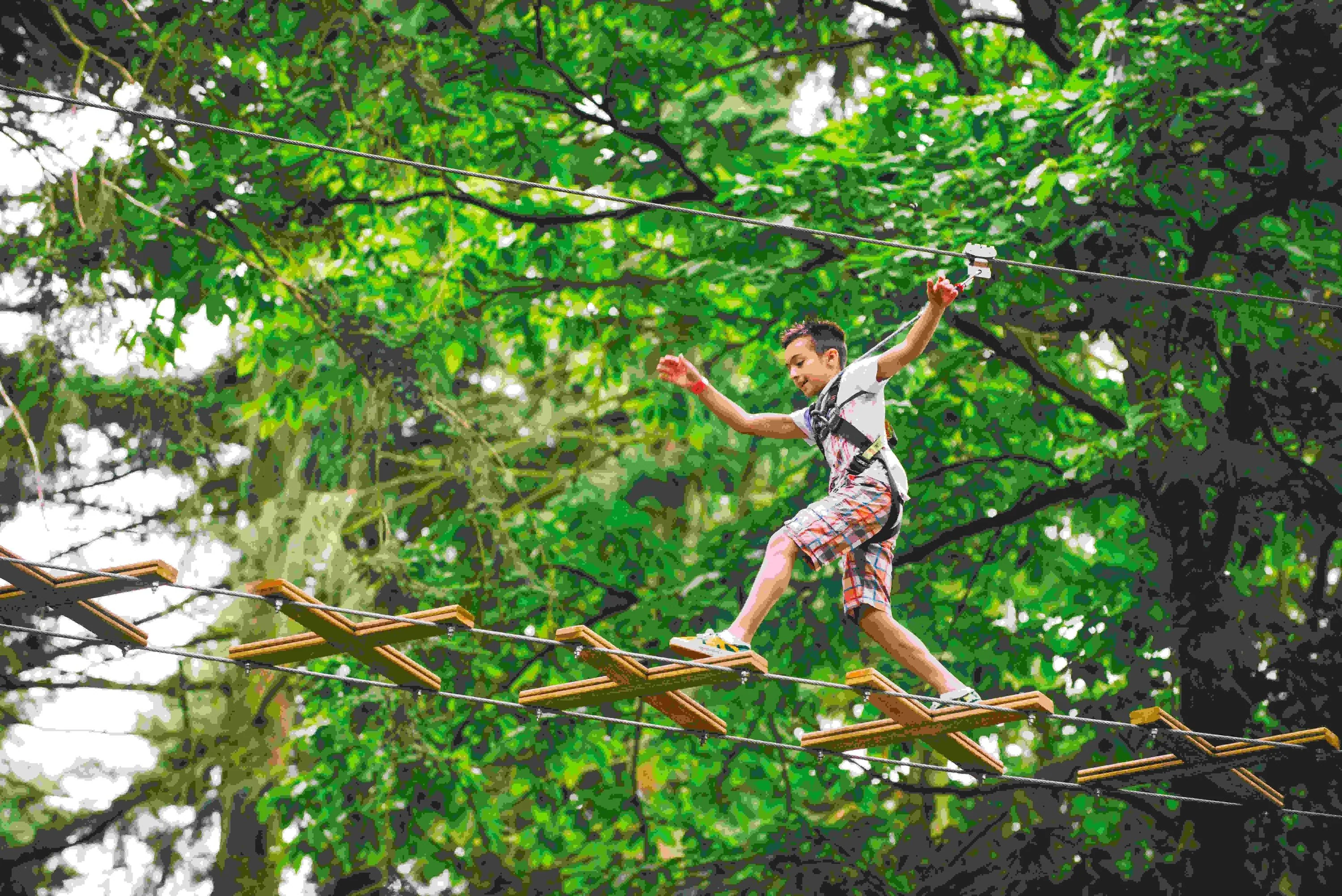 Springfield Zipline & Treetop Adventure with Go Ape - Image 3