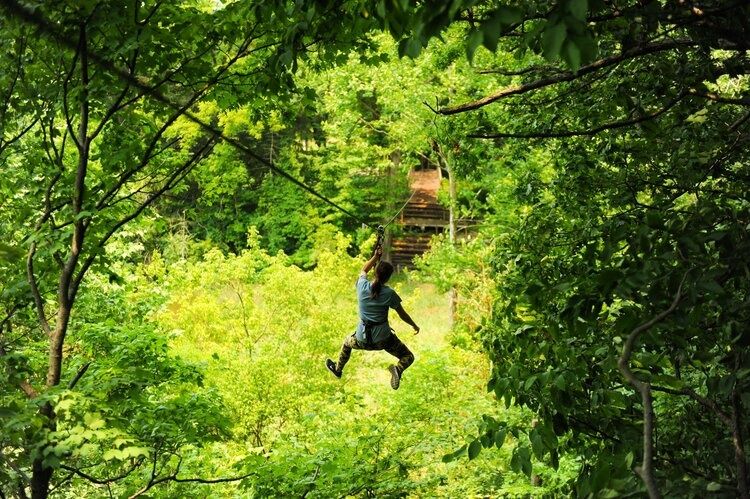 St. Louis Zipline & Treetop Adventure with Go Ape