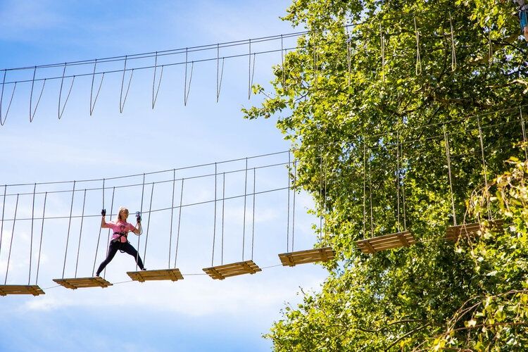 Indianapolis Zipline & Treetop Adventure with Go Ape - Image 3