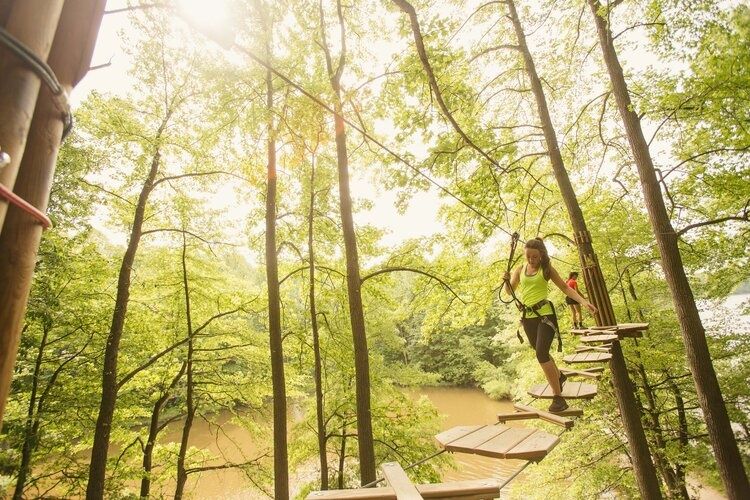Indianapolis Zipline & Treetop Adventure with Go Ape - Image 5