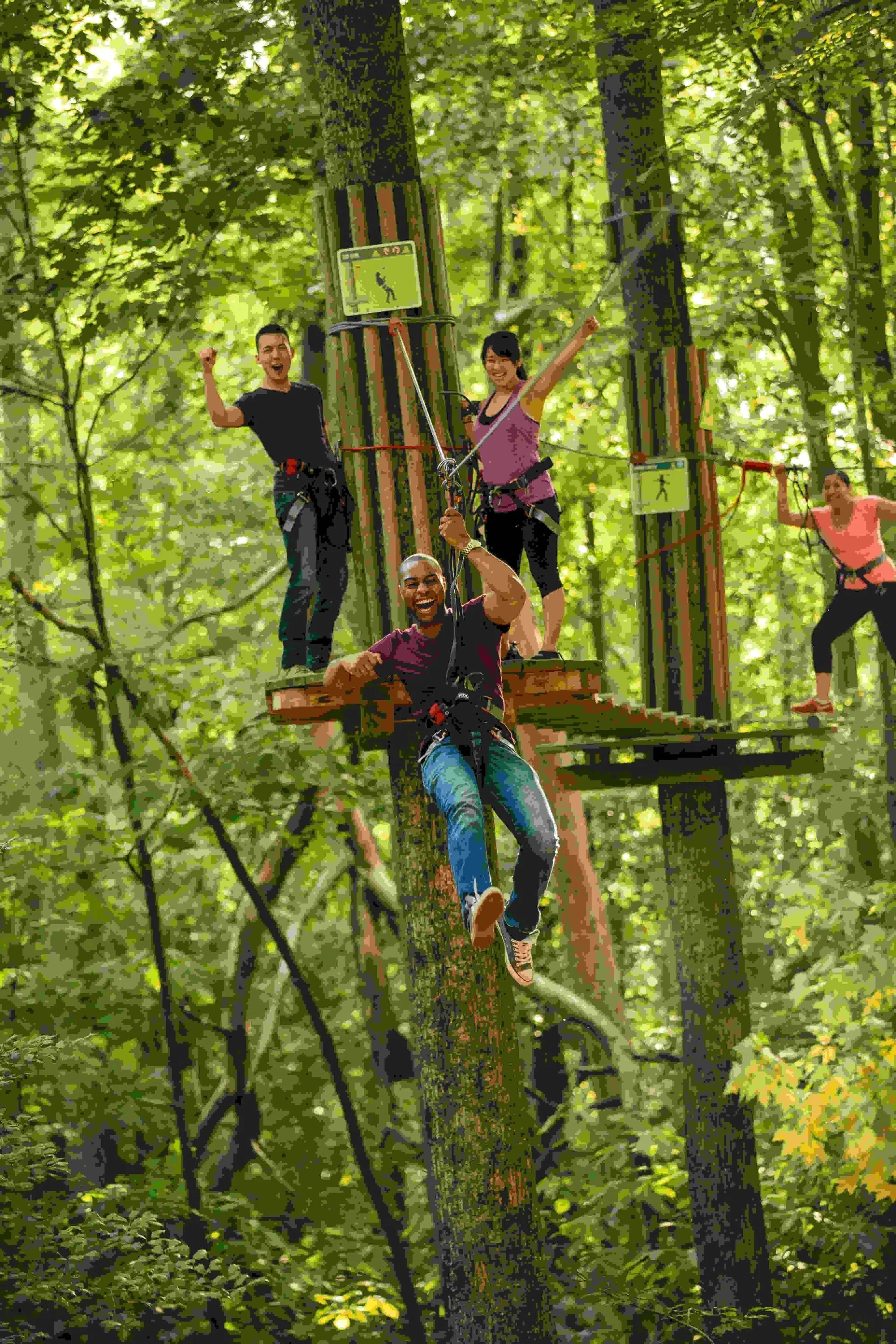 Delaware Zipline & Treetop Adventure with Go Ape