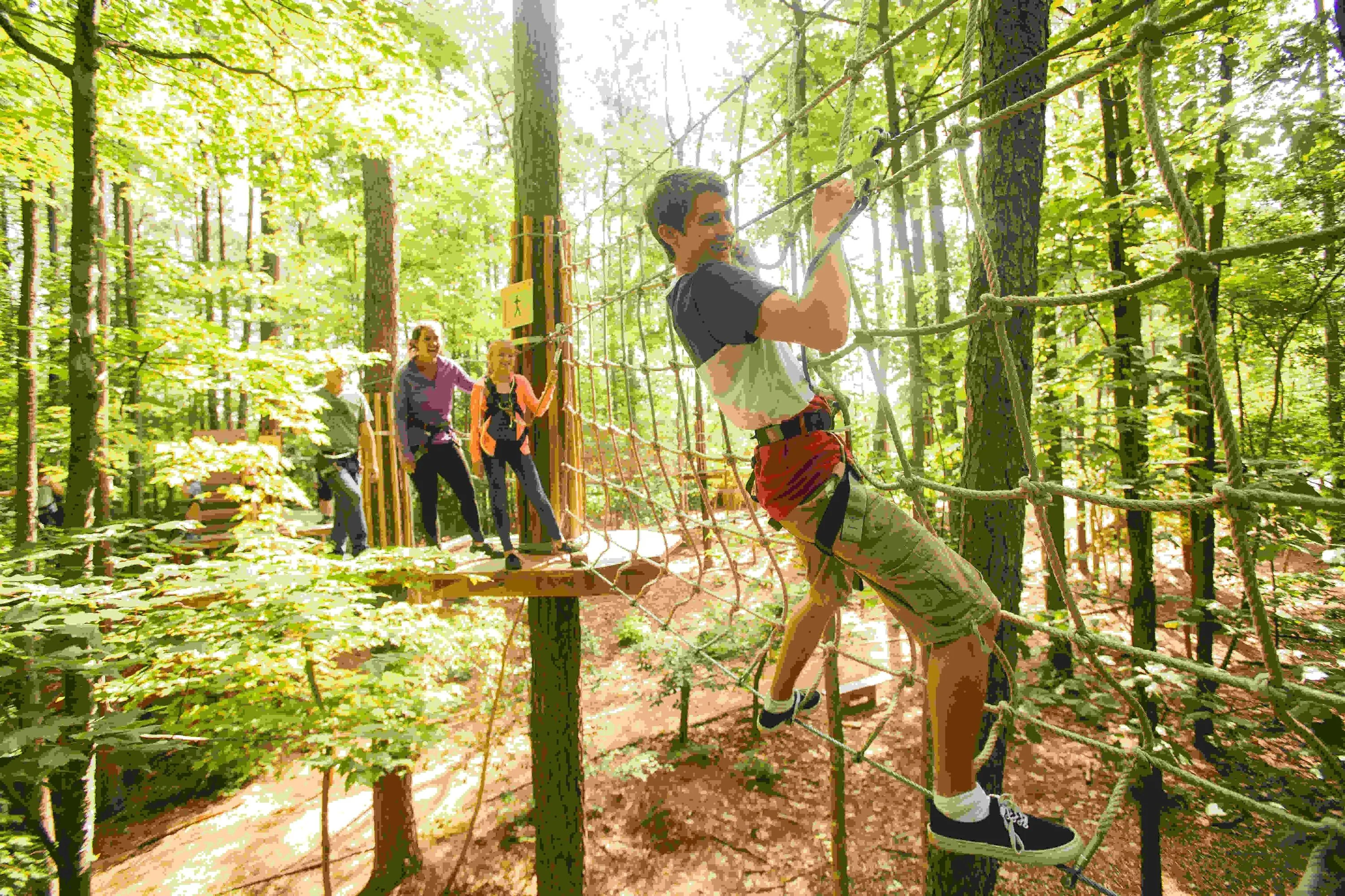 Williamsburg Zipline & Treetop Adventure with Go Ape - Image 2